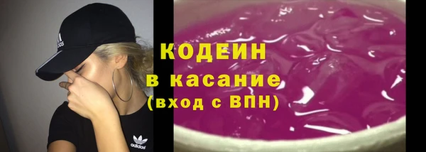 прущий лед Алзамай