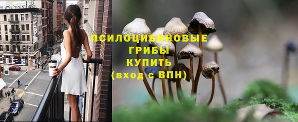 Альфа ПВП Алексеевка