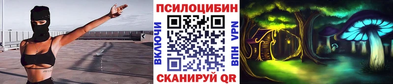 продажа наркотиков  Ардатов  Псилоцибиновые грибы Psilocybine cubensis 